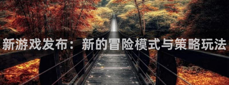 天美娱乐网页登录入口官网：新游戏发布：新的冒险模式与策略玩法