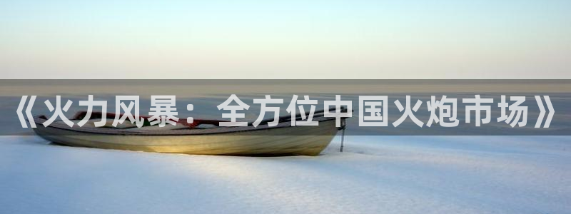 天美娱乐注册账号：《火力风暴：全方位中国火炮市场》