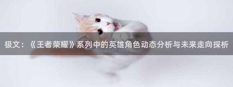 天美娱乐下载链接：极文：《王者荣耀》系列中的英雄角色动态分析