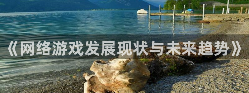 天美娱乐平台官网注册：《网络游戏发展现状与未来趋势》