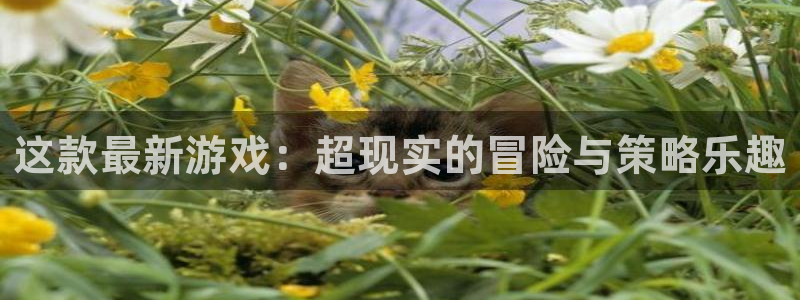 沐春天美娱乐：这款最新游戏：超现实的冒险与策略乐趣