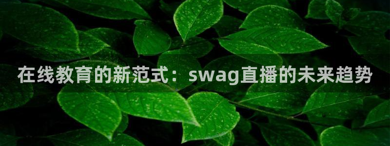833体育直播观看：在线教育的新范式：swag直播的未来趋势