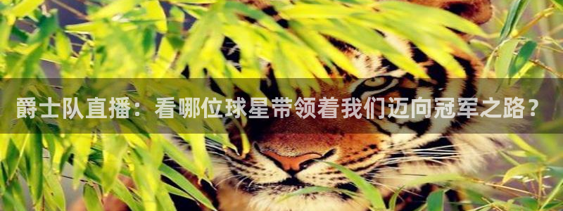 833直播体育app：爵士队直播：看哪位球星带领着我们迈向冠军之路？