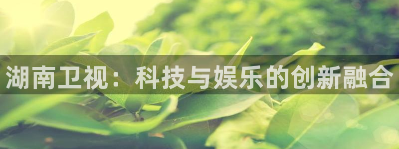 833篮球直播免费高清直播：湖南卫视：科技与娱乐的创新融合