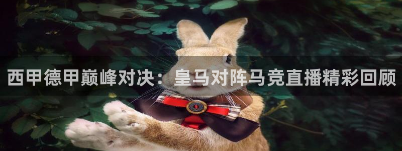 833足球比赛直播免费观看：西甲德甲巅峰对决：皇马对阵马竞直播精彩回顾