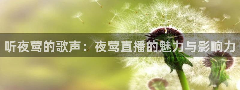 833免费看球直播：听夜莺的歌声：夜莺直播的魅力与影响力