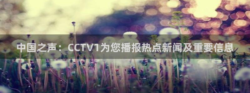 新闻图片