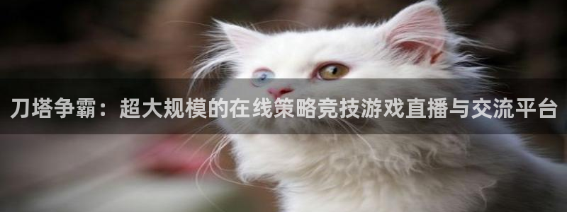 833足球比赛直播免费观看：刀塔争霸：超大规模的在线策略竞技游戏直播与交流平台